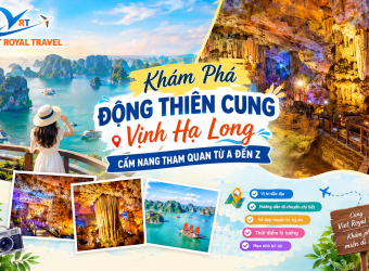 KHÁM PHÁ ĐỘNG THIÊN CUNG VỊNH HẠ LONG: CẨM NANG THAM QUAN TỪ A ĐẾN Z